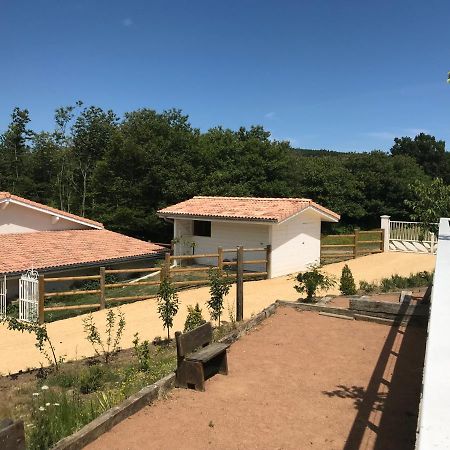 Domaine Du Mont Monnet - Chambre D'Hotes & Gite Longes Exterior photo